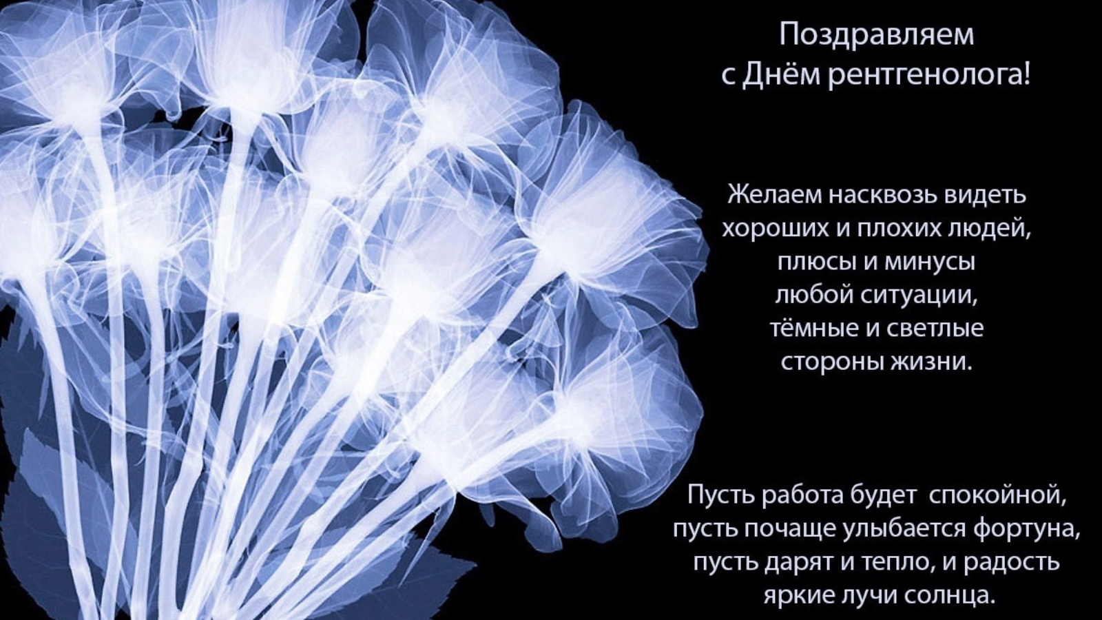 Поздравление с днем сети. День рентгенолога поздравления. С днем рентгенолога поздравления прикольные. С днем рентгенолога открытки. Смешные поздравления с днем рентгенолога.